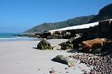 IMG_4734 Dilisha, Socotra